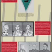 Holocaust Criminal Final.jpg